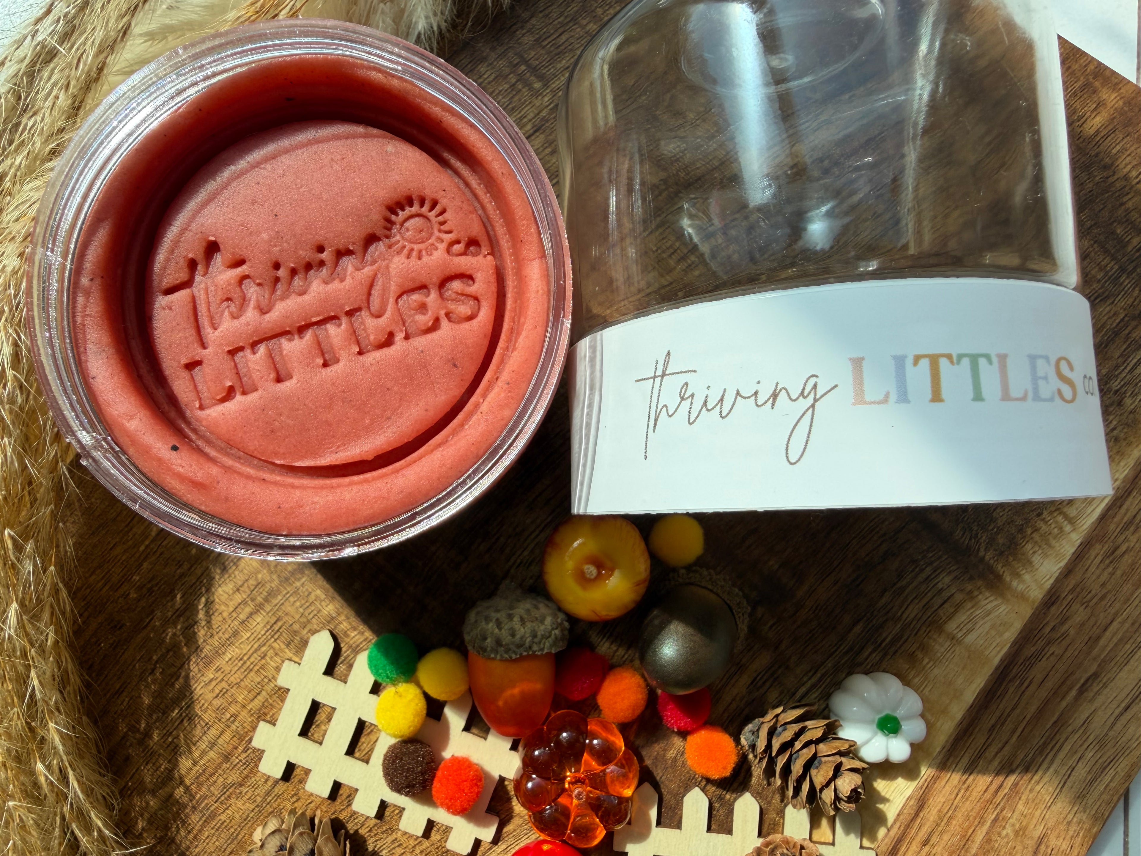 Little Pumpkin Patch Thrive & Play-Go Jar